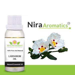 Labdanum-oil