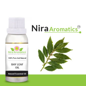 bay-leaf-oil